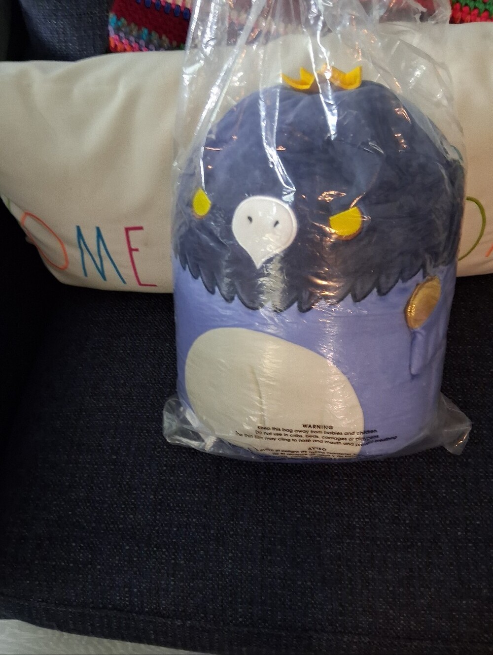 Squishmallow LE Valeria the Valravyn Cedar Point Check-in. Series 1